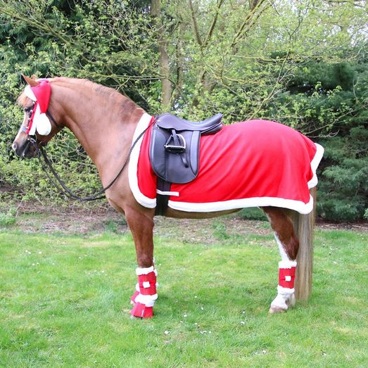Hy Equestrian Christmas Santa Exercise Sheet - Red/White