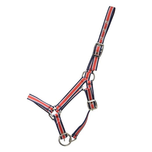 Hy Equestrian Foal Plus Head Collar - Red/Navy