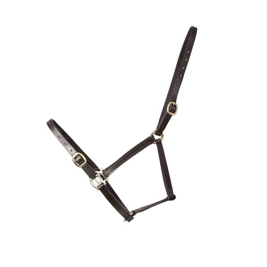 Hy Equestrian Leather Foal Head Collar - Brown