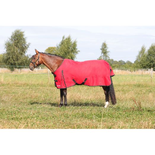 HyCONIC 200g Turnout Rug - Red
