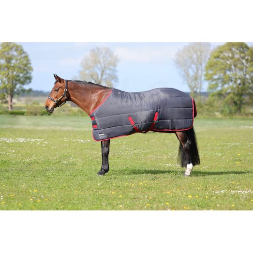 HyCONIC 250g Stable Rug - Charcoal/Red