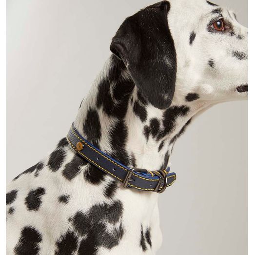 Joules Leather Dog Collar - Navy