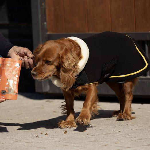 Supreme Products Royal Occasion Fleece Dog Coat - Black