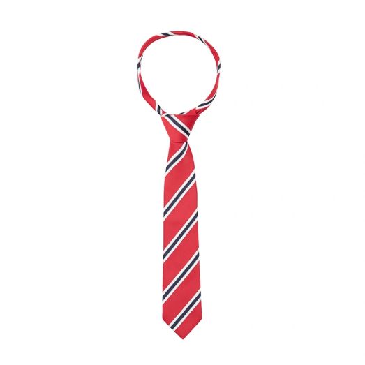 Supreme Products Show Tie - Red Check