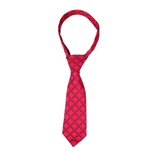 Supreme Products Show Tie - Red Grid