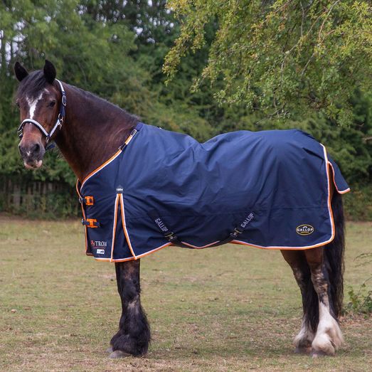 Gallop Trojan Duraproof 100g Turnout Turnout Rug Navy