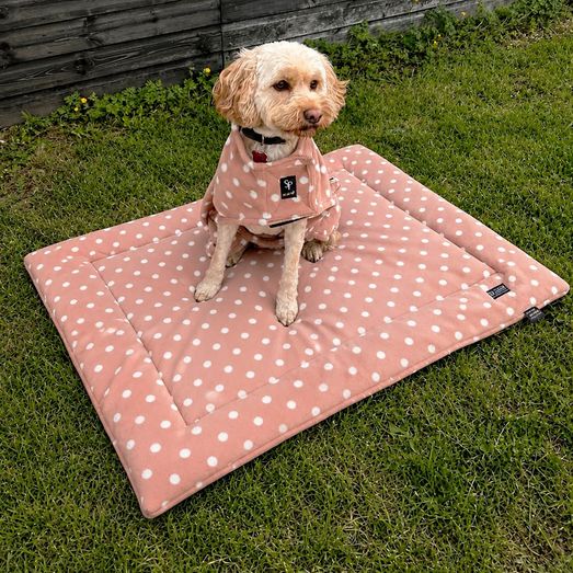 Supreme Products Dotty Fleece Dog Coat - Luxurious Latte - XXL
