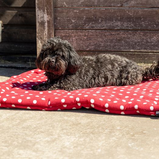 Supreme Products Dotty Fleece Dog Bed - Rich Raspberry - 80 x 100cm