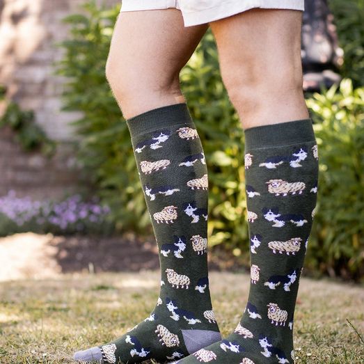 Bartleby Funky Welly Socks Mens Sheep &amp; Sheepdog