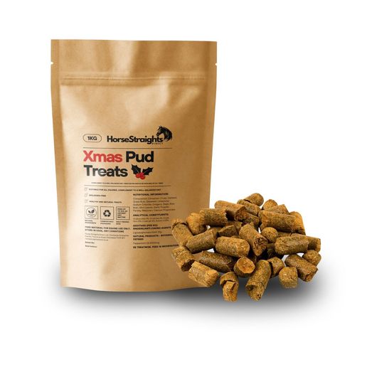 Horse Straights Direct Xmas Pud Treats
