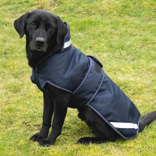 Benji &amp; Flo Waterproof Dog Coat Navy/Reflective Silver