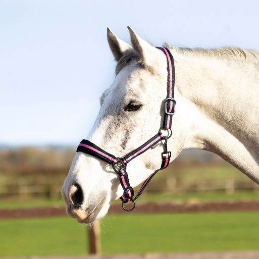 Hy Equestrian Ink Head Collar - Navy/Pink