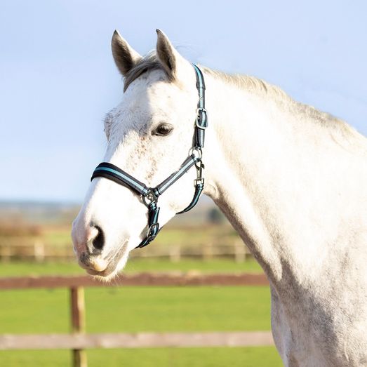 Hy Equestrian Ink Head Collar - Navy/Teal