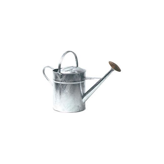 Ambassador Galvanised Watering Can