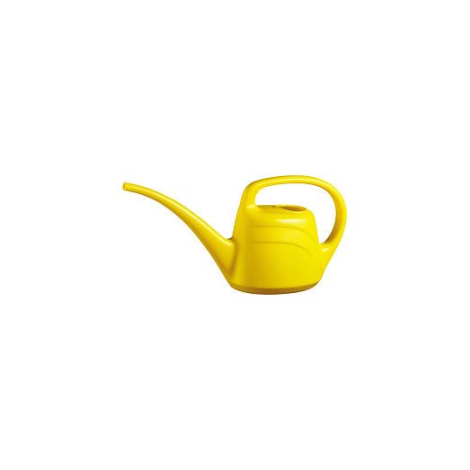 Green &amp; Home Eden Watering Can 2L