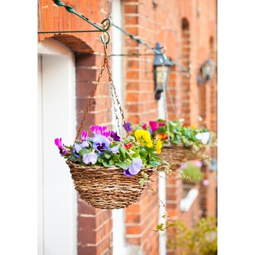 Ambassador Rattan Hanging Basket