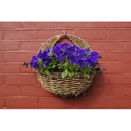 Ambassador Rattan Wall Basket