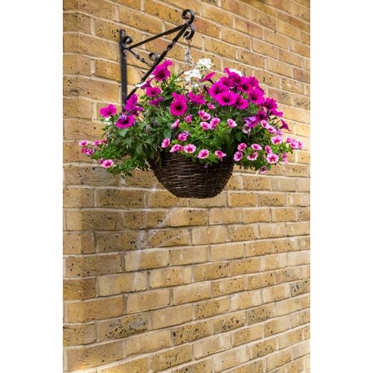 Ambassador Willow Hanging Basket