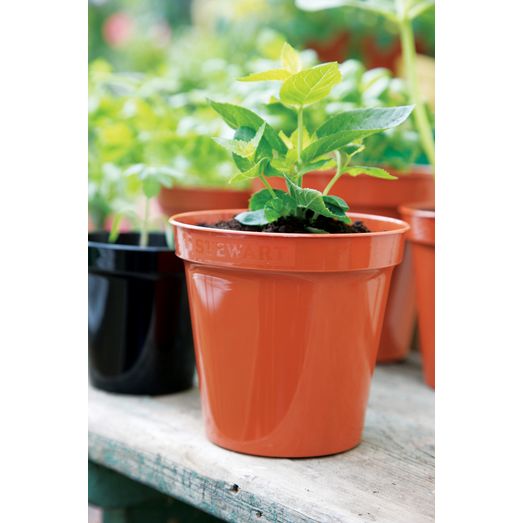 Stewart Plastic Flower Pot Terracotta