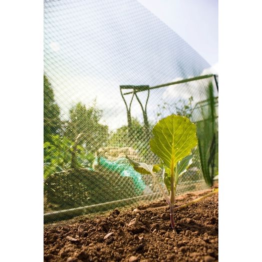 Ambassador Plant Shading