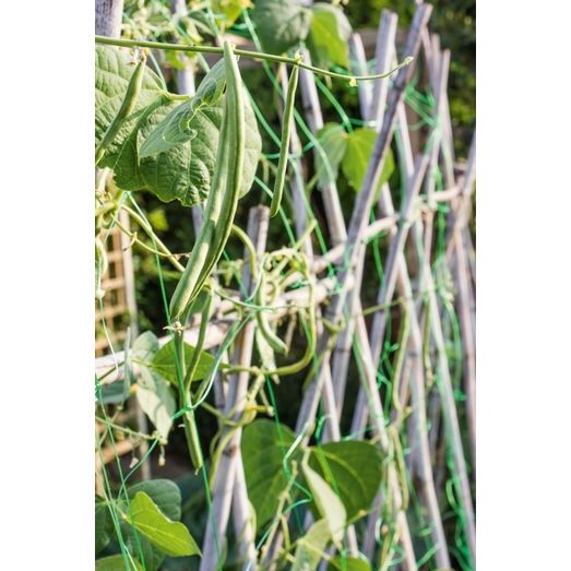 Ambassador Pea &amp; Bean Support Netting