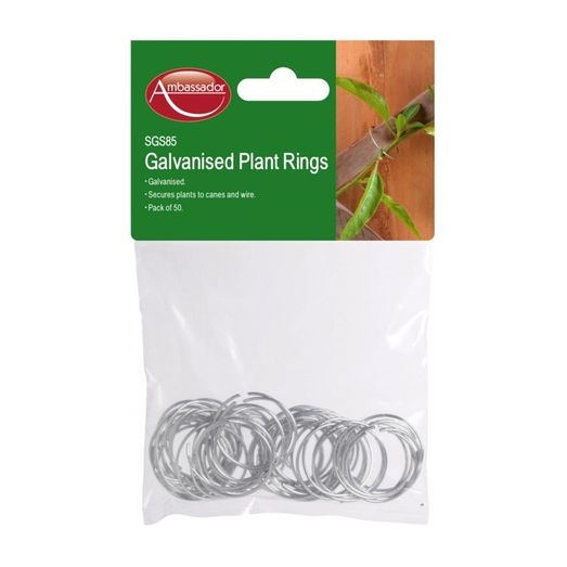 Ambassador Galvanised Plant Rings (Pack of 50)