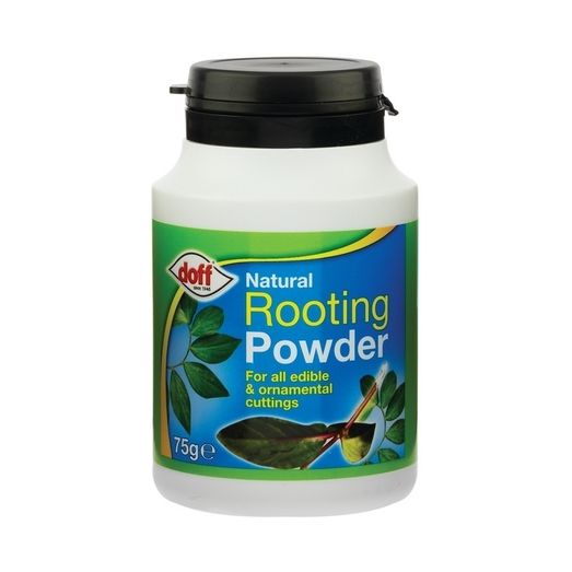 Doff Natural Rooting Powder