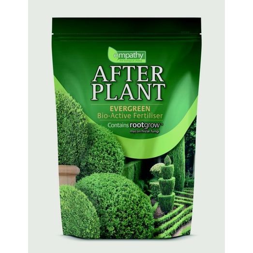 Empathy After Plant Evergreens With Rootgrow