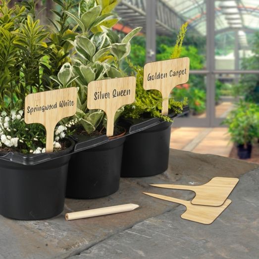 Ambassador Bamboo T Labels &amp; Pencil 10 Piece