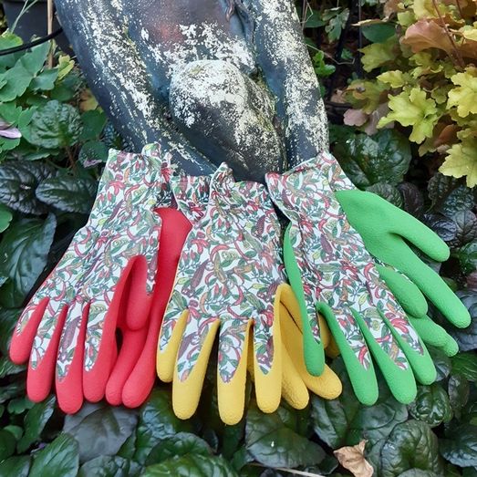 Town Country Ladies Chilli Gloves