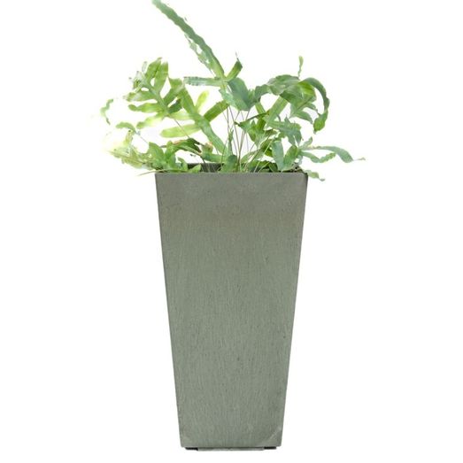 Primeur Sonata Blossom Planter