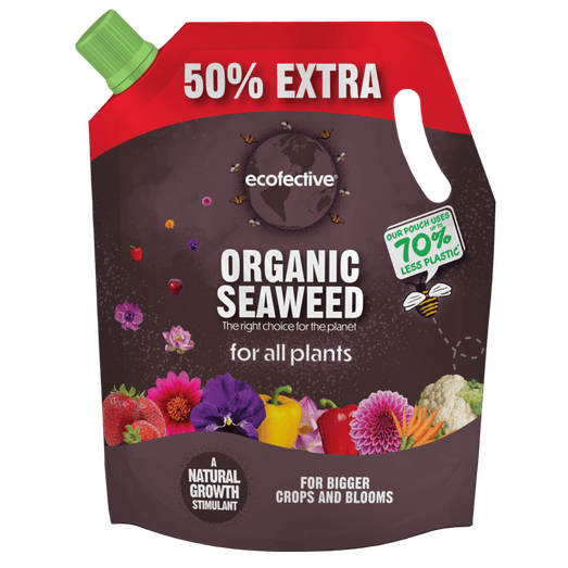 Ecofective Organic Seaweed