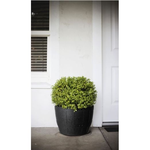 Primeur Barrel Planter