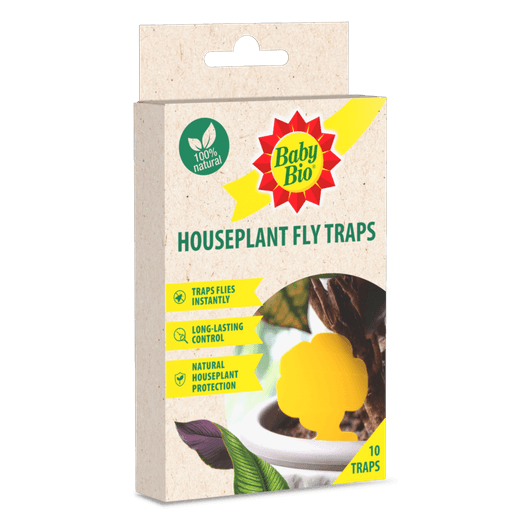 Baby Bio Houseplant Fly Traps