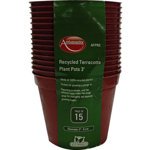 Ambassador Terracotta Plant Pots