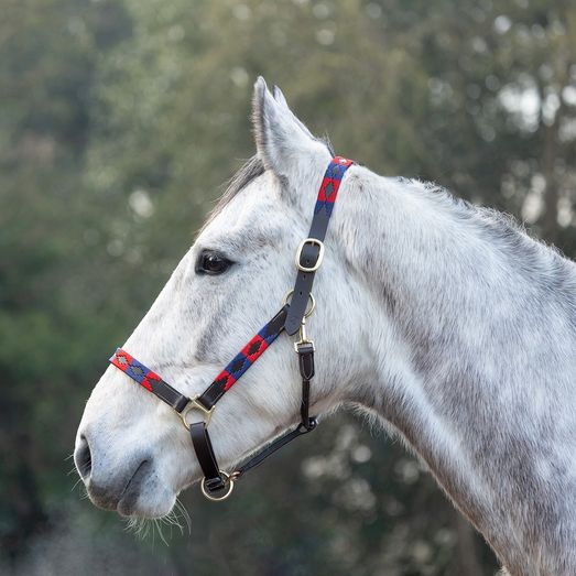 Hy Equestrian Polo Leather Head Collar - Navy/Red