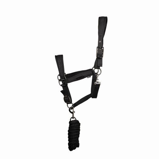 Coldstream Paxton Padded Head Collar &amp; Lead Rope - Latte