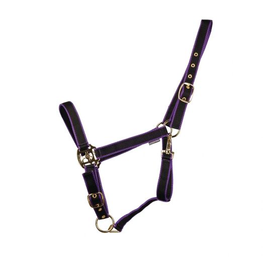HyCONIC Head Collar - BLACK/PURPLE