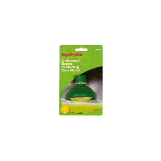 Ambassador Watering Can Rose
