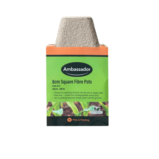 Ambassador 8cm Square Fibre Pots