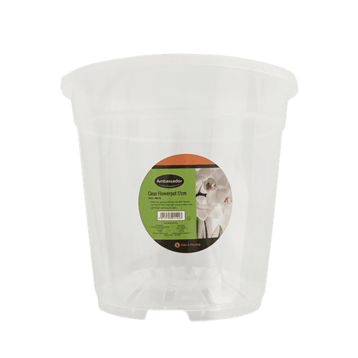 Ambassador Clear Flowerpot