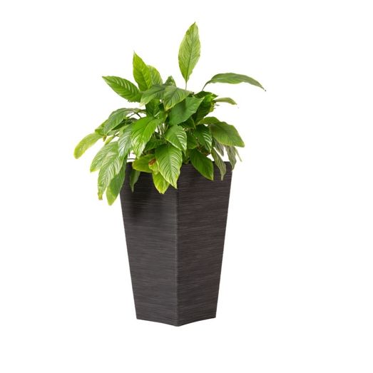 Garden Central Avondale Seagrass Slate Planter