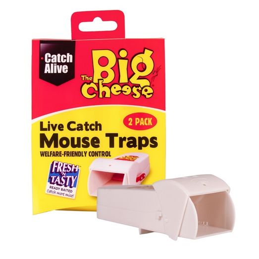 The Big Cheese Live Catch Ready to use Mouse Trap