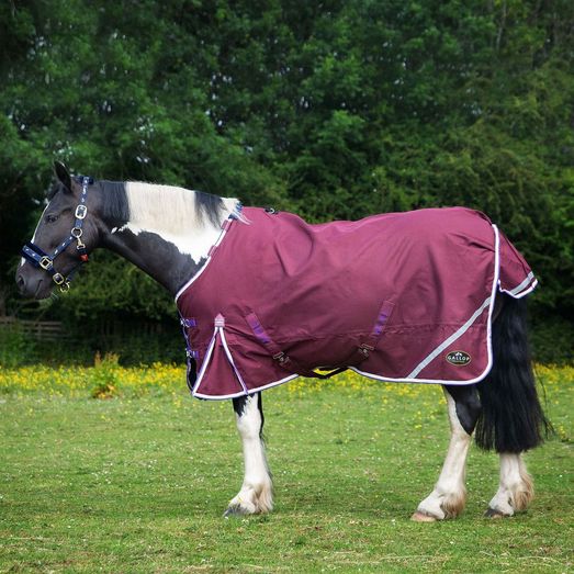 Gallop Trojan Xtra Duraproof 0g Lightweight Turnout Turnout Rug Burgundy
