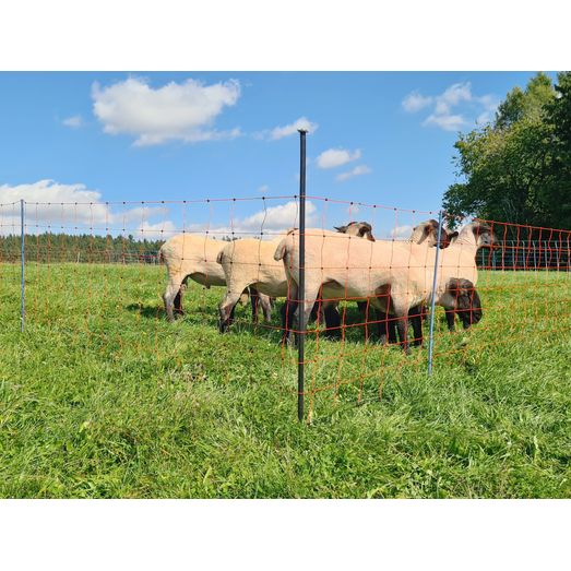 Support Post for Field Netting