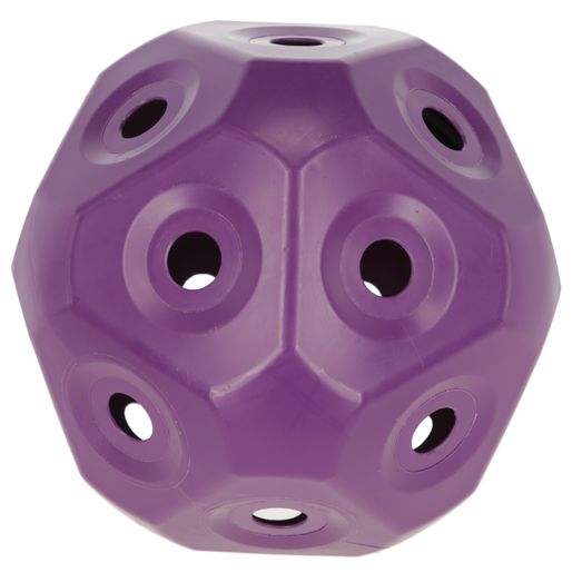 Kerbl Feed Ball Toy