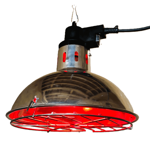 Heatlamp Infrared with Wide shade and dimmer switch