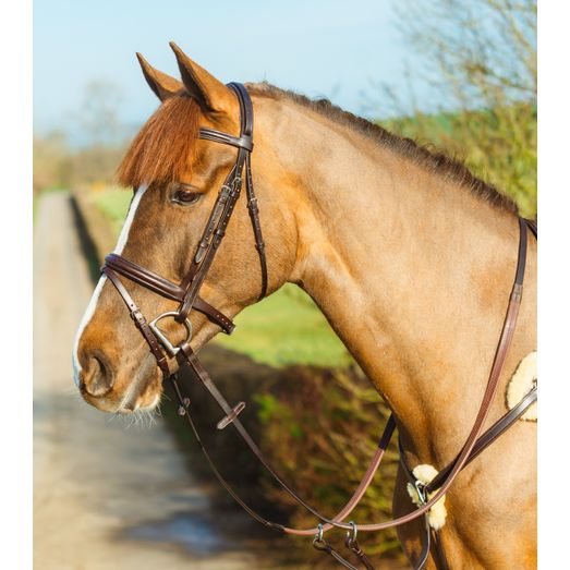 Mackey Classic Padded Flash Bridle