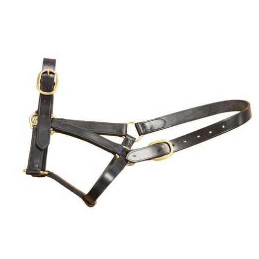 Mackey Classic Leather Headcollar