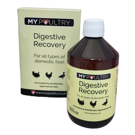 My Poultry Digestive Recovery 500ml